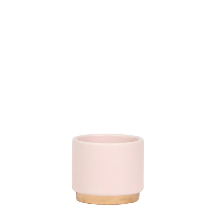 Vaso Per Piante Rosa - Ø6Cm