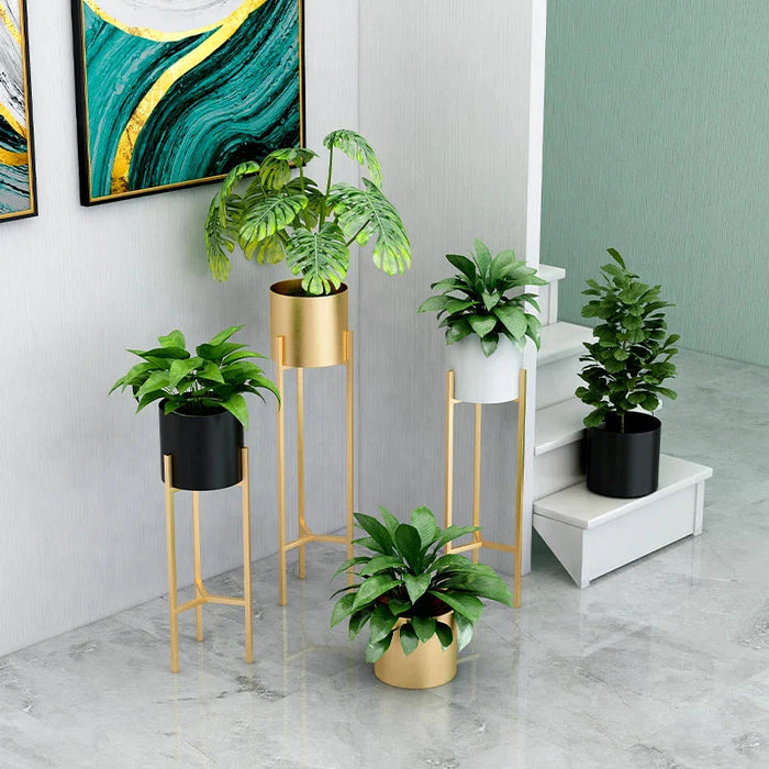 Vaso Per Piante Alto