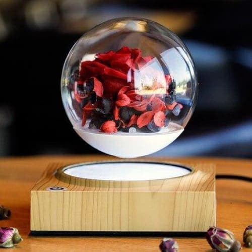 Fioriera Con Supporto A Sfera In Vetro A Levitazione Magnetica