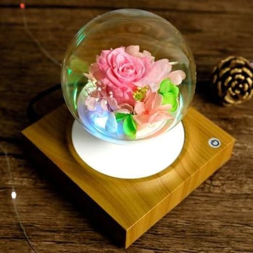 Fioriera Con Supporto A Sfera In Vetro A Levitazione Magnetica