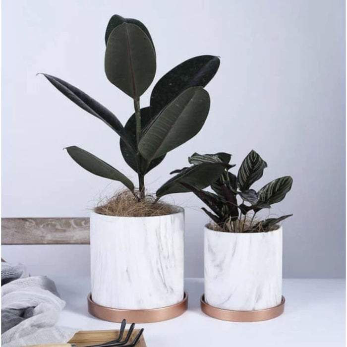 Fioriera In Marmo Bianco