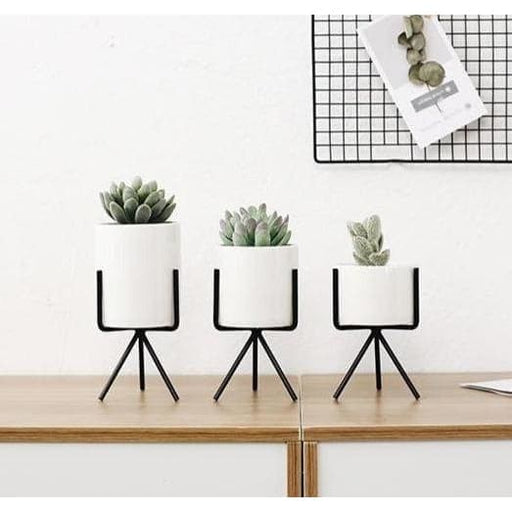 Fioriera Da Terra Pisa (X3)