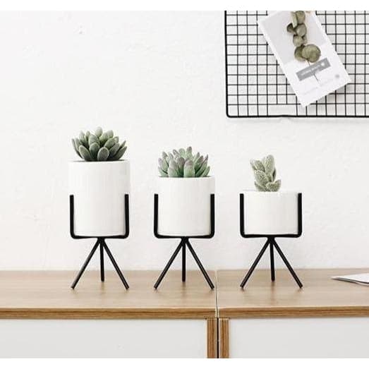 Fioriera Da Terra Pisa (X3)