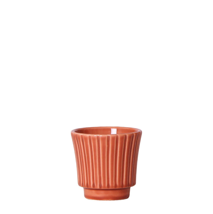 Vaso Per Piante In Terracotta - Ø6Cm