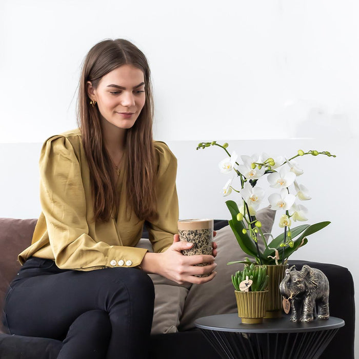 Vaso Per Piante Verde Scuro - Ø6Cm