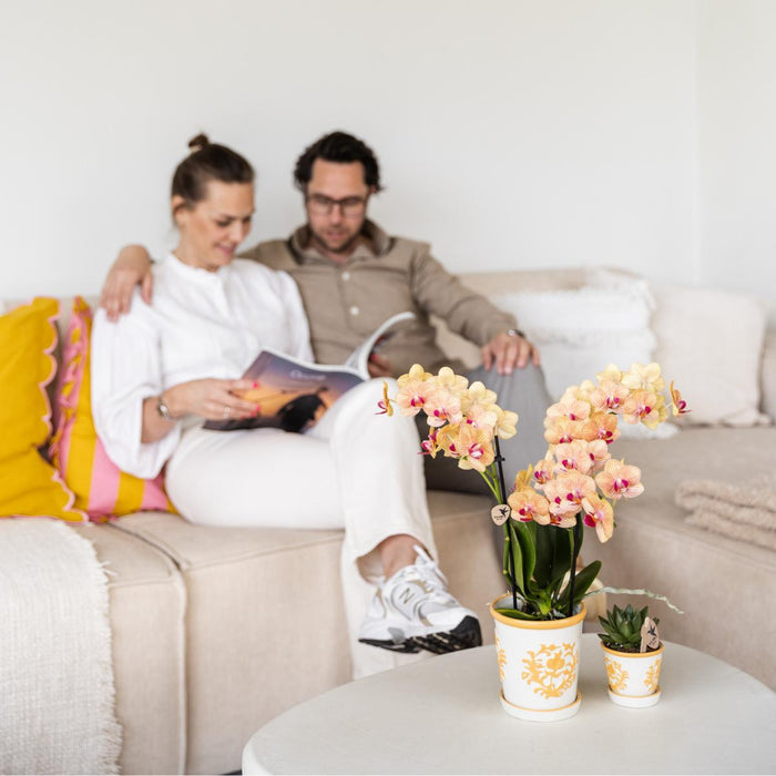 Vaso Per Piante Arancione Di Malaga