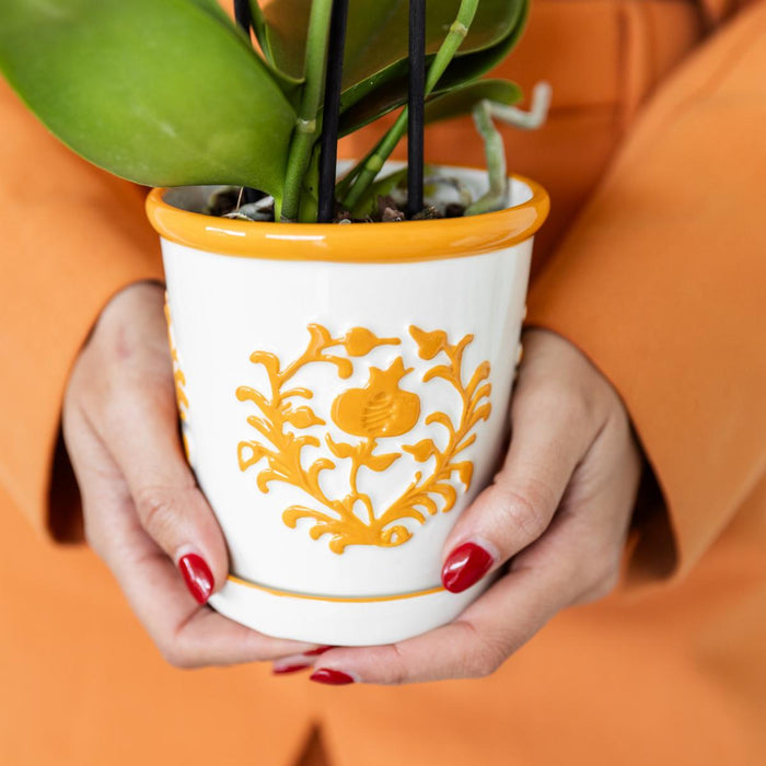 Vaso Per Piante Arancione Di Malaga