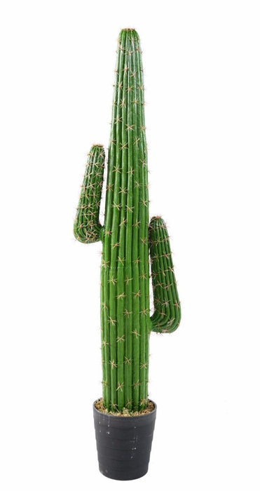 Cactus Artificiale 145 Cm Per Decorazione Interni