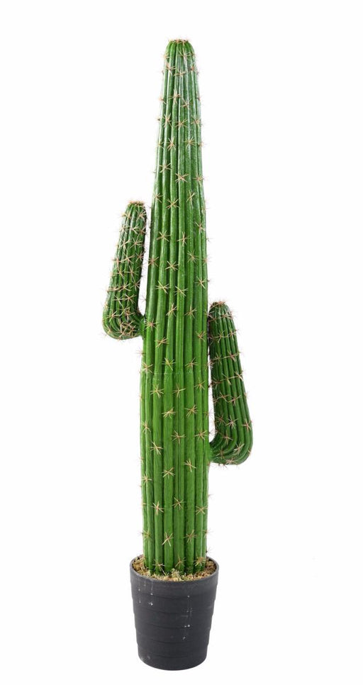 Cactus Artificiale 145 Cm Per Decorazione Interni