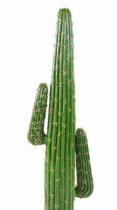 Cactus Artificiale 145 Cm Per Decorazione Interni