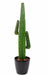 Cactus Artificiale 145 Cm Per Decorazione Interni
