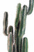 Cactus Artificiale 150 Cm Pianta Da Interno Verde