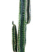 Cactus Artificiale 160 Cm Per Interni Verdi