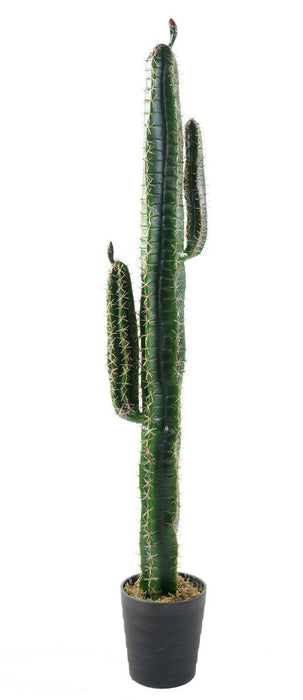 Cactus Artificiale 160 Cm Per Interni Verdi