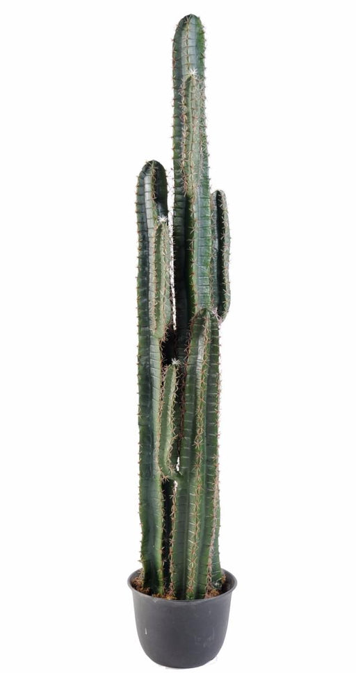 Cactus Artificiale 185 Cm Per Decorazione Interni