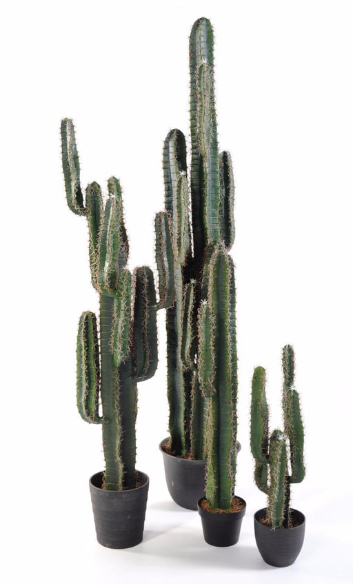 Cactus Artificiale 185 Cm Per Decorazione Interni