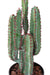 Cactus Artificiale 5 Rami 77Cm Per Interni