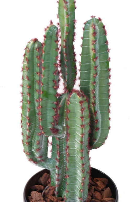 Cactus Artificiale 5 Rami 77Cm Per Interni