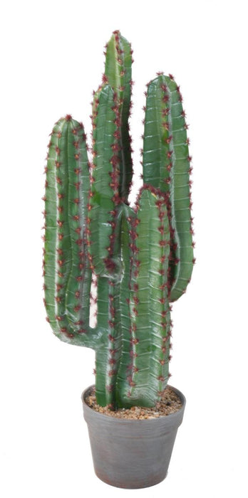 Cactus Artificiale 5 Rami 77Cm Per Interni