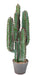 Cactus Artificiale 5 Rami 77Cm Per Interni