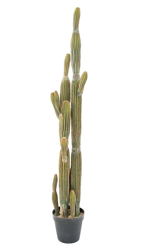 Cactus Artificiale 6 Tronchi Da Interno 150Cm Verde