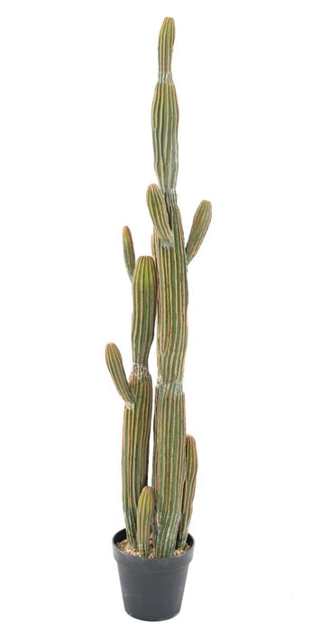 Cactus Artificiale 6 Tronchi Da Interno 150Cm Verde