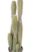 Cactus Artificiale 6 Tronchi Per Interni H.95Cm Verde