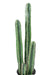 Pianta Da Interno In Vaso Di Cactus Artificiale Da 135 Cm
