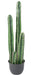 Pianta Da Interno In Vaso Di Cactus Artificiale Da 135 Cm