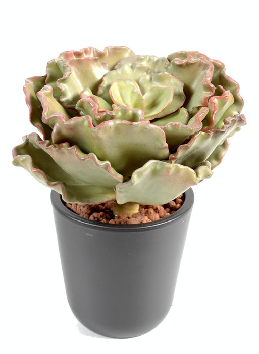 Cactus Artificiale Crassula Echeveria 25Cm Da Ricamare