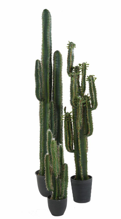 Cactus Dito Artificiale 150 Cm Per Interni
