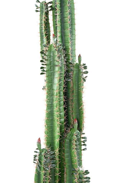 Cactus Artificiale H185Cm Con Foglie Per Interni