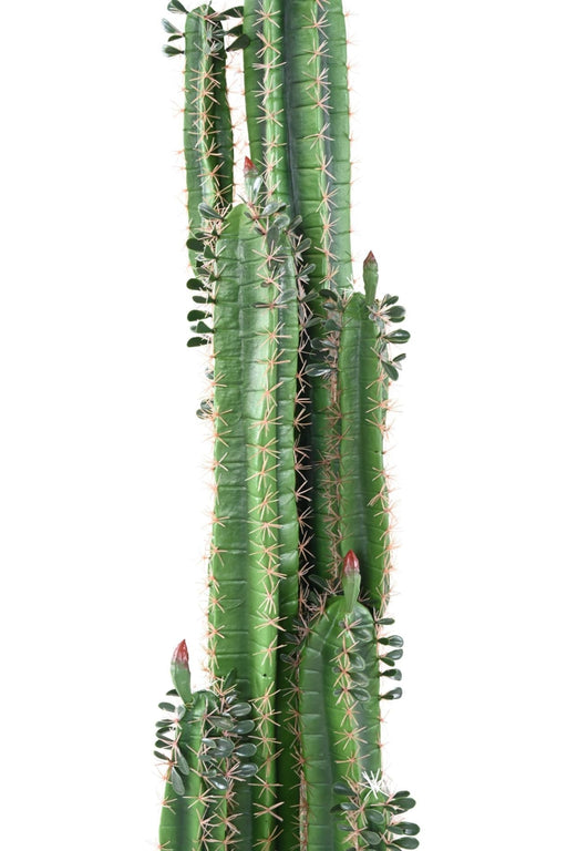 Cactus Artificiale H185Cm Con Foglie Per Interni