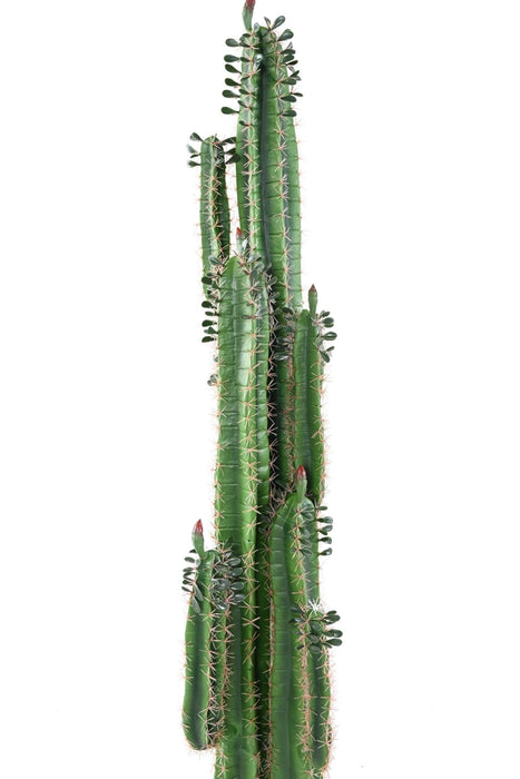 Cactus Artificiale H185Cm Con Foglie Per Interni