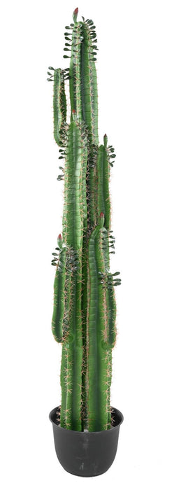 Cactus Artificiale H185Cm Con Foglie Per Interni
