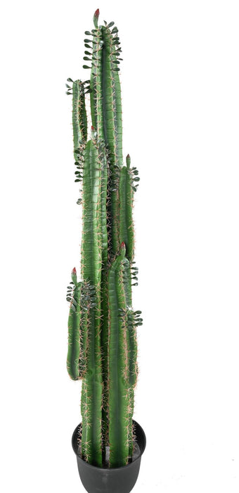 Cactus Artificiale H185Cm Con Foglie Per Interni