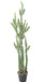 Cactus Artificiale Da Interno 140Cm Verde In Polietilene