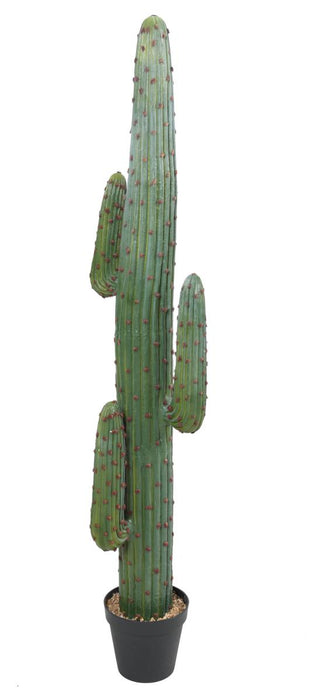 Cactus Artificiale Da Interno 170 Cm Verde