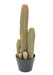 Cactus Artificiale Da Interno 7 Tronchi 60 Cm Verde