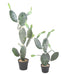 Cactus Artificiale Opuntia 75Cm Per Interni