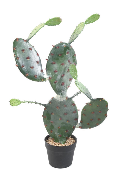 Cactus Artificiale Opuntia 75Cm Per Interni