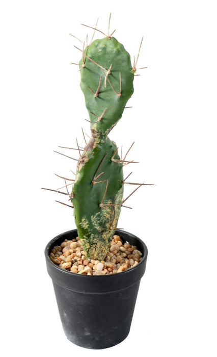 Cactus Artificiale Piatto 34 Cm Per Decorazione Interni