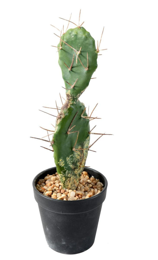Cactus Artificiale Piatto 34 Cm Per Decorazione Interni