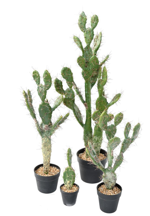 Cactus Artificiale Piatto 58 Cm Per La Decorazione D'interni