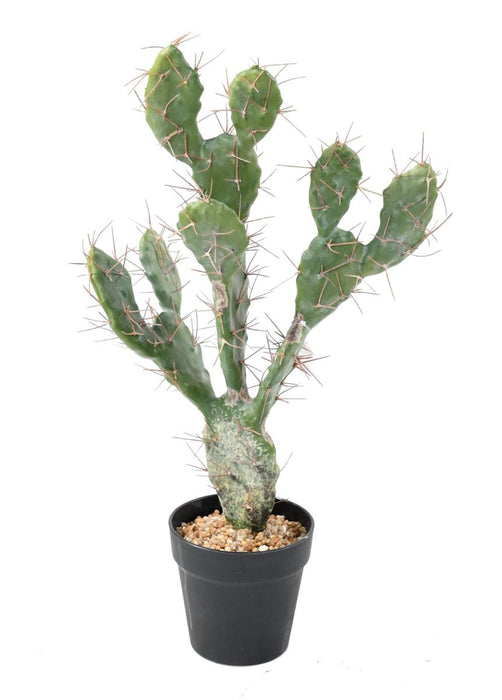 Cactus Artificiale Piatto 58 Cm Per La Decorazione D'interni