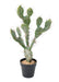 Cactus Artificiale Piatto 58 Cm Per La Decorazione D'interni