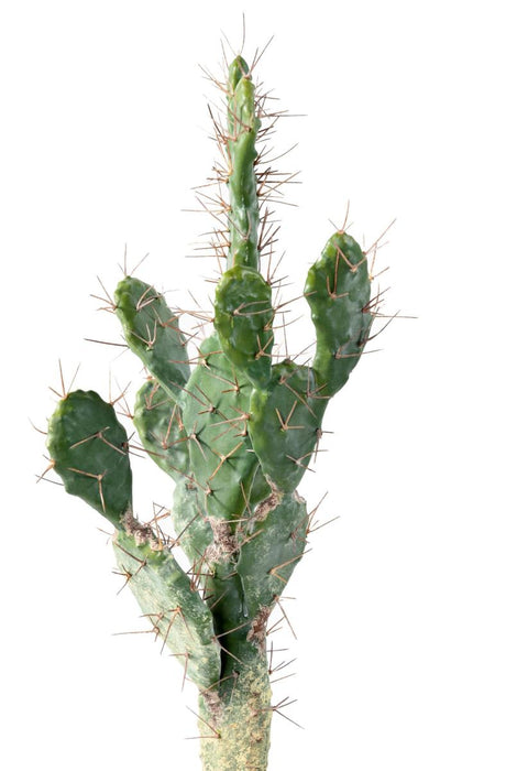 Cactus Artificiale Piatto 75 Cm Per Interni Verdi