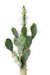 Cactus Artificiale Piatto 75 Cm Per Interni Verdi