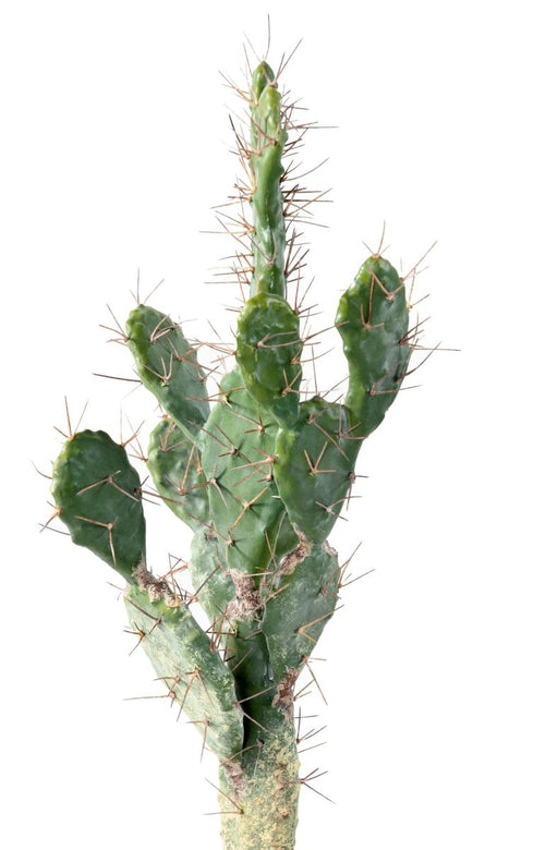 Cactus Artificiale Piatto 75 Cm Per Interni Verdi