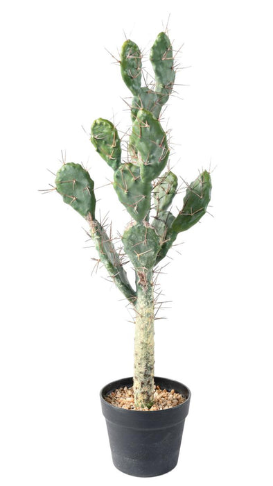 Cactus Artificiale Piatto 75 Cm Per Interni Verdi
